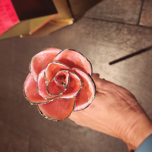 Steven Singer Real Pink Rose Preserved and Dipped in Platinum - Picture 5 of 14